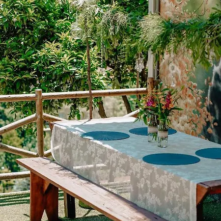Casa de Férias Tea House - T1 Hipericão