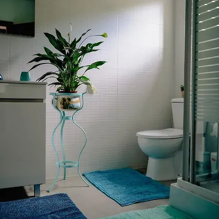 Tea House - T1 Hipericao