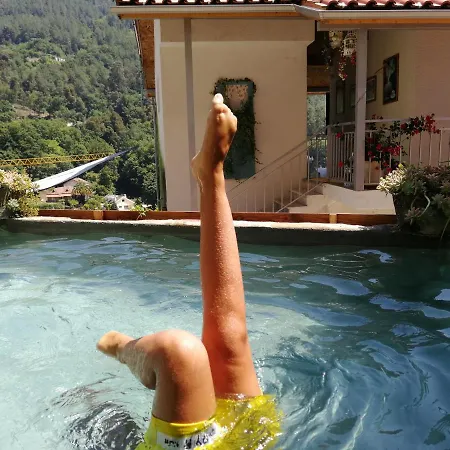 Casa de Férias Tea House - T1 Hipericão Gerês