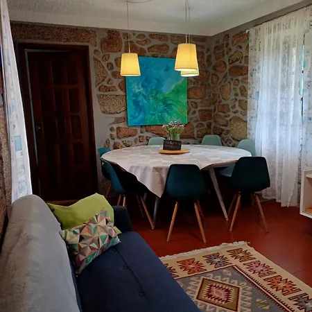 Tea House - T1 Hipericao *