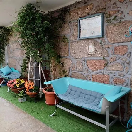 Tea House - T1 Hipericao