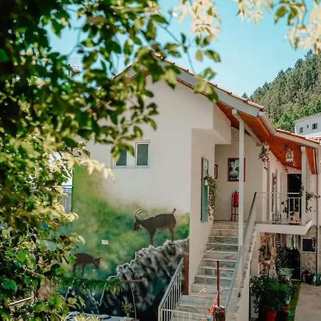 Tea House - T1 Hipericao * جيريز