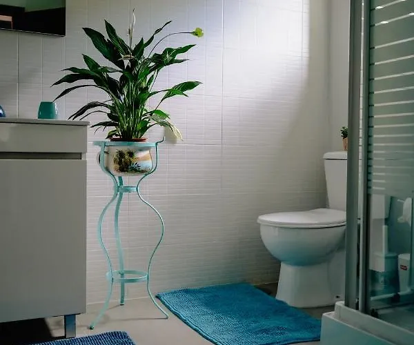 Tea House - T1 Hipericao