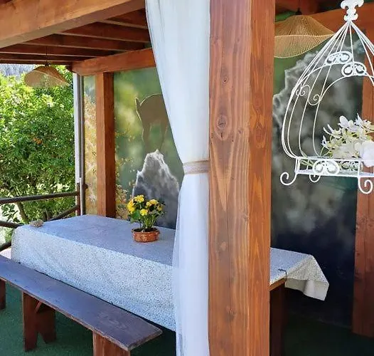 度假居 Tea House - T1 Hipericao