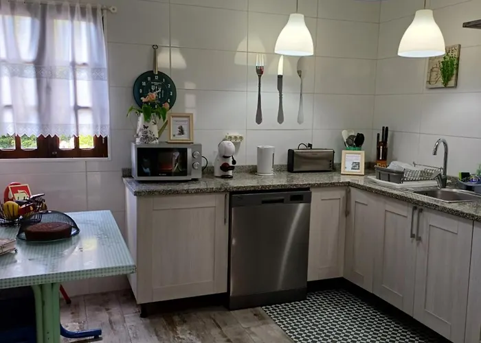 Tea House - T1 Hipericao * 제어스