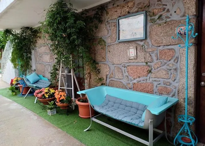 Tea House - T1 Hipericao