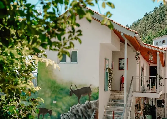 Tea House - T1 Hipericao * 吉尔斯