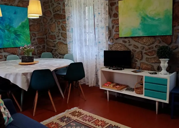 Tea House - T1 Hipericao * 吉尔斯